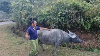 Các tỉnh miền núi phía Bắc cần rà soát phương án ứng phó với rét từ ngày 26/11