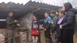 Hiệu quả mô hình chăn nuôi lợn nái bản địa sinh sản an toàn dịch bệnh