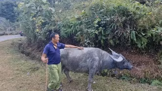 Các tỉnh miền núi phía Bắc cần rà soát phương án ứng phó với rét từ ngày 26/11