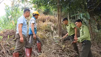 Nâng cao ý thức người dân trong phòng, chống cháy rừng