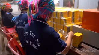Lào Cai gỡ khó trong bảo hộ quyền sở hữu trí tuệ