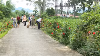 Tiên Phong - điểm sáng thực hiện tiêu chí môi trường 