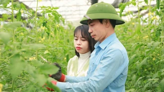 Lào Cai nở rộ mô hình nông nghiệp xanh