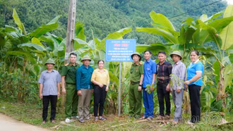 Xã Châu Quế xây dựng Công trình “Đường điện thắp sáng đường quê”