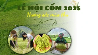 Từ ngày 13 - 21/9: Sẽ diễn ra Lễ hội cốm - Hương sắc mùa thu Tú Lệ