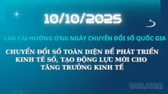 Lào Cai hưởng ứng Ngày Chuyển đổi số Quốc gia 