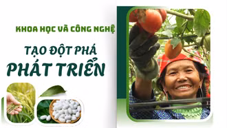Khoa học và công nghệ tạo đột phá phát triển