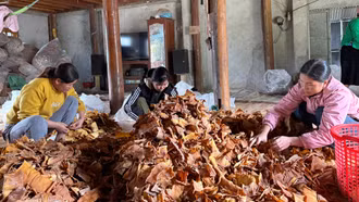 Xã Lâm Thượng triển khai hiệu quả Dự án 8 gắn với hỗ trợ phụ nữ phát triển kinh tế