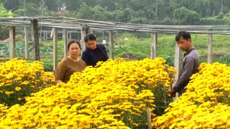 Phúc Khánh vào xuân