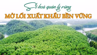 Số hoá quản lý rừng - Mở lối xuất khẩu bền vững