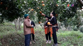 Trái ngọt từ Chương trình 1719