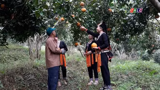 Trái ngọt từ Chương trình 1719