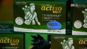 OCOP từ dược liệu - Hành trình khẳng định vị thế vùng trọng điểm của Lào Cai