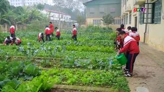 Nhân rộng mô hình trường học sinh thái