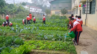Nhân rộng mô hình trường học sinh thái