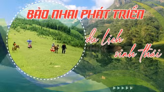 Bảo Nhai phát triển du lịch sinh thái