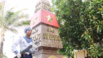 [Ảnh] Cây bàng vuông - biểu tượng bất khuất của Trường Sa