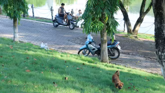 Cần sự vào cuộc của cả cộng đồng