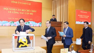 Tỉnh ủy tổ chức các hội nghị về công tác cán bộ