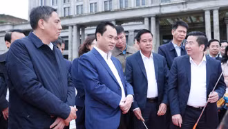 Thường trực Tỉnh ủy kiểm tra, chỉ đạo tình hình phát triển kinh tế - xã hội và việc thực hiện các quy hoạch, dự án lớn trên địa bàn