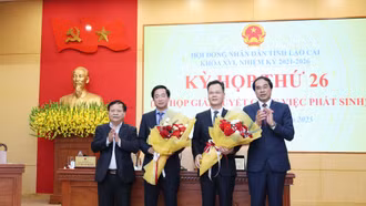 Quá trình công tác của đồng chí Nguyễn Thành Sinh, Phó Chủ tịch UBND tỉnh Lào Cai nhiệm kỳ 2021 - 2026