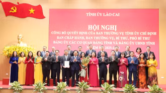 Công bố quyết định của Ban Thường vụ Tỉnh ủy chỉ định Ban Chấp hành, Ban Thường vụ, Bí thư, Phó Bí thư Đảng ủy các cơ quan Đảng tỉnh và Đảng ủy UBND tỉnh nhiệm kỳ 2025 - 2030