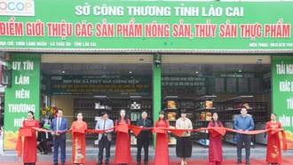 Xúc tiến thương mại, khẳng định vai trò cửa ngõ giao thương