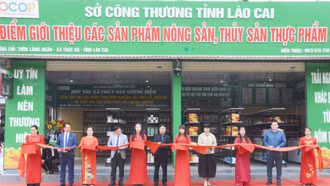 Xúc tiến thương mại, khẳng định vai trò cửa ngõ giao thương