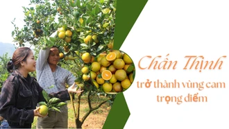 Chấn Thịnh trở thành vùng cam trọng điểm