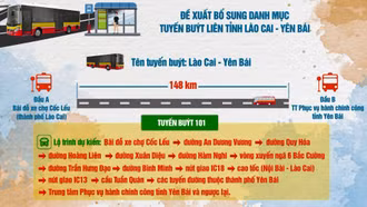 Đề xuất thống nhất bổ sung danh mục Tuyến buýt liên tỉnh Lào Cai - Yên Bái