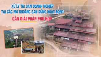 Xử lý tài sản doanh nghiệp tại các mỏ khoáng sản dừng hoạt động: Cần giải pháp phù hợp
