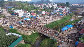 Độc đáo chợ trâu Bắc Hà