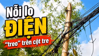 Nỗi lo điện “treo” trên cột tre ở Cảm Nhân