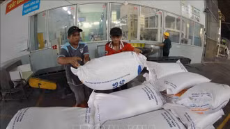 Xuất khẩu gạo Việt Nam đã vượt 8 triệu tấn