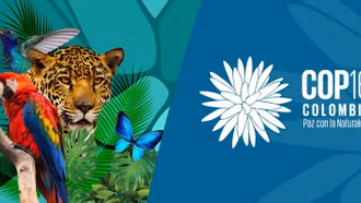 COP16 tìm giải pháp ngăn suy giảm đa dạng sinh học