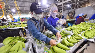 Xuất khẩu nông sản liên tiếp phá kỷ lục