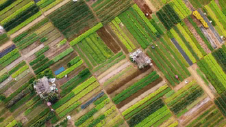 Làng rau Trà Quế được công nhận "Làng du lịch tốt nhất" năm 2024