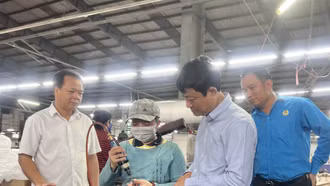 Ấn tượng với số vốn trong nước và nước ngoài đầu tư vào Bình Dương