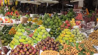 Trái cây Việt Nam dần chiếm lĩnh thị trường thế giới, tính phương án phát triển bền vững