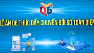 Quyết liệt hoàn thành các nhiệm vụ chuyển đổi số quốc gia - Đề án 06
