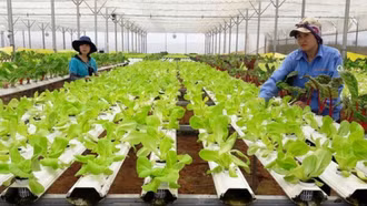 Gỡ bỏ rào cản pháp lý để phát triển công nghệ sinh học trong nông nghiệp