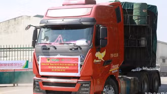 Chung tay mang sinh kế cho bà con vùng bão lũ Yên Bái, Lào Cai