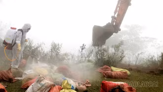 Không để dịch bệnh tả lợn châu Phi lây lan tại xã Tả Phời