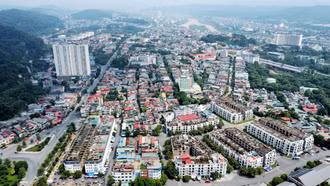 Phường Lào Cai tập trung nhiều giải pháp thu ngân sách năm 2026