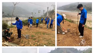 Trồng cây cảnh quan góp phần phát triển du lịch 