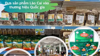 "Chìa khóa" giúp nâng tầm sản phẩm