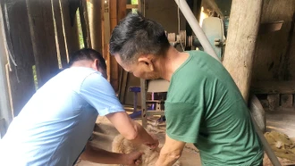 Hoàn thành tiêm phòng dại tại khu vực Lào Cai, Cam Đường, Cốc San, Hợp Thành trong tháng 8 
