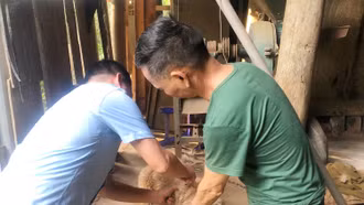 Hoàn thành tiêm phòng dại tại khu vực Lào Cai, Cam Đường, Cốc San, Hợp Thành trong tháng 8 