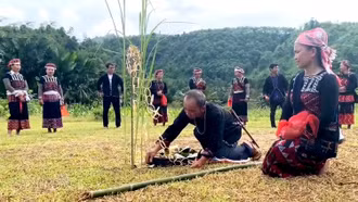 Phát huy giá trị các di sản văn hóa phi vật thể quốc gia mới của tỉnh