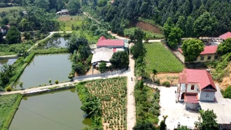 Hiệu quả từ mở rộng đường giao thông nông thôn ở Bảo Thắng